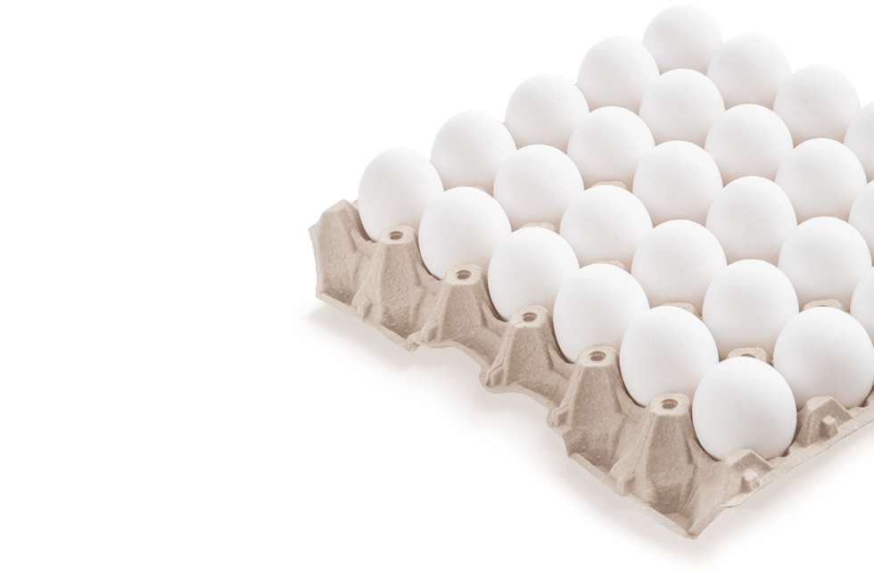 Heracles Egg Tray Image