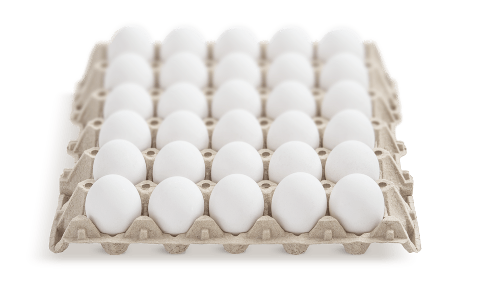 Heracles - egg trays breathability