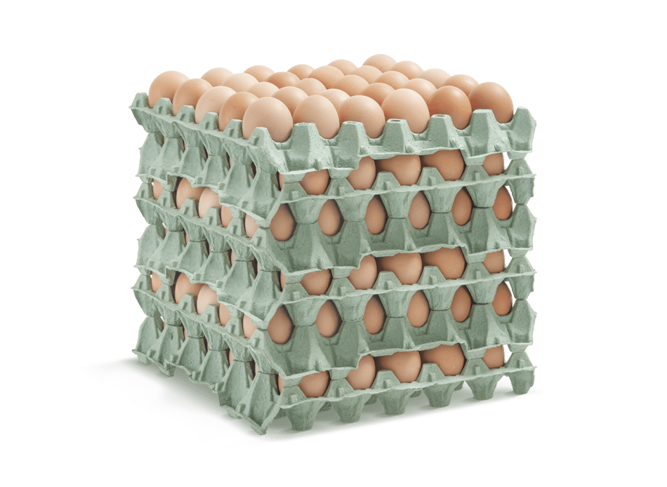 Heracles Egg Tray Image stacked