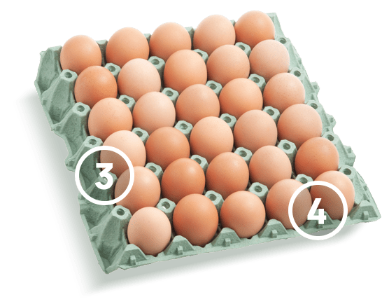 Egg Tray - cones & spacers