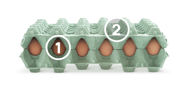Egg Tray - nests & ribs